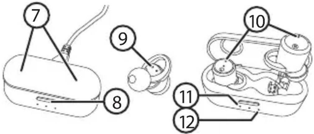 7 8 9 10 11 12