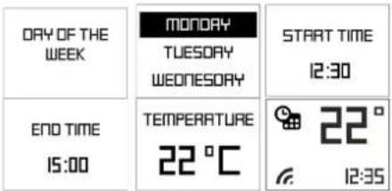 DAY OF THE WEEK MONDAY TUESDAY WEONESDAY START TIME 12:30 END TIME 15:00 TEMPERATURE 22 °C 22 ° 12:35