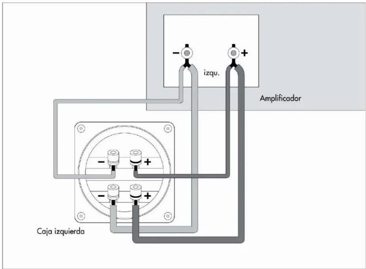 izqu. Amplificador Caja izquierda