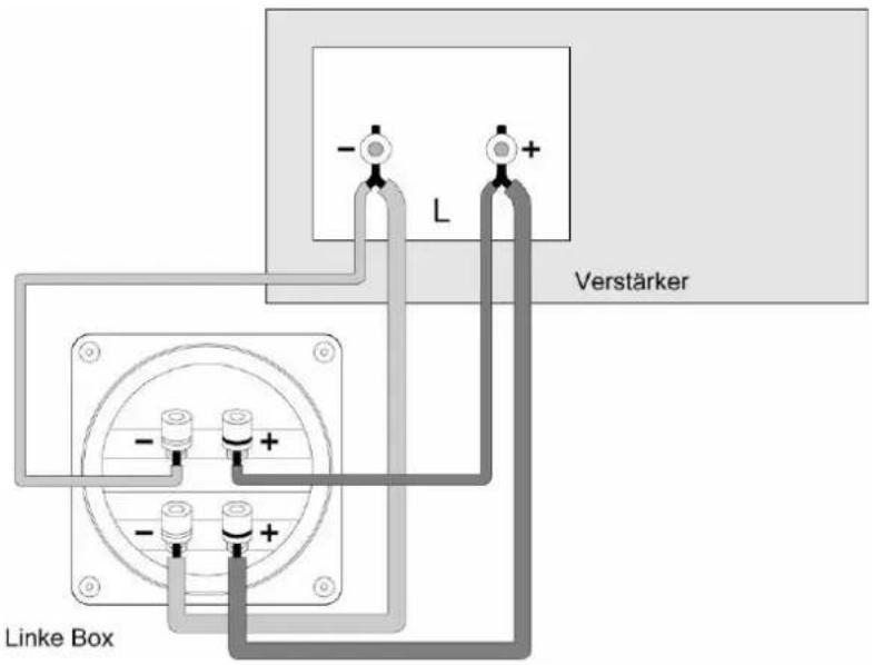 L Verstärker Linke Box