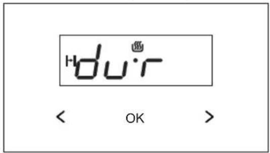 du'r < OK >