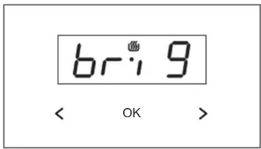 br:9 < OK >