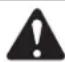 TROY-BILT TB225 - SAFETY WARNINGS FOR GAS UNITS - 1