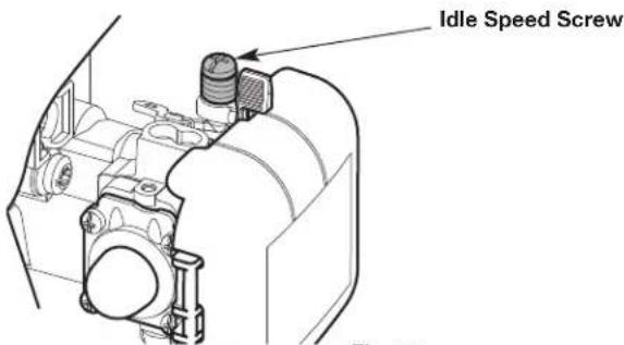 Idle Speed Screw