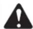 TROY-BILT TB430 - SAFETY WARNINGS FOR GAS UNITS - 1