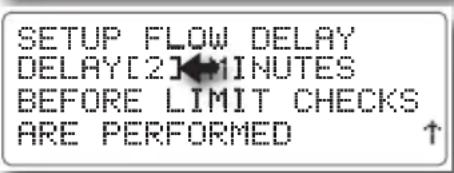 SETUP FLOW DELAY DELAY[2] MINUTES BEFORE LIMIT CHECKS ARE PERFORMED ↑