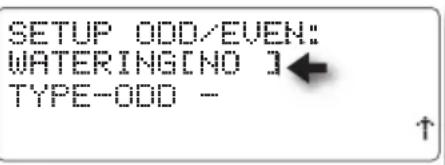 SETUP ODD/EVEN: WATERING[NO] TYPE-ODD -