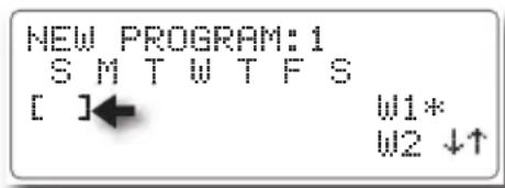 NEW PROGRAM:1 S M T W T F S [ ]← W1* W2 ↓↑