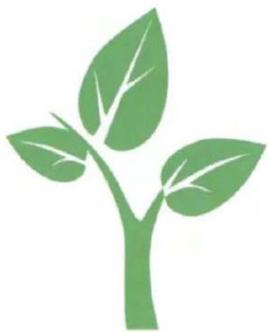 Stylized green plant sprout illustration with three leaves on a stem (no text or symbols)