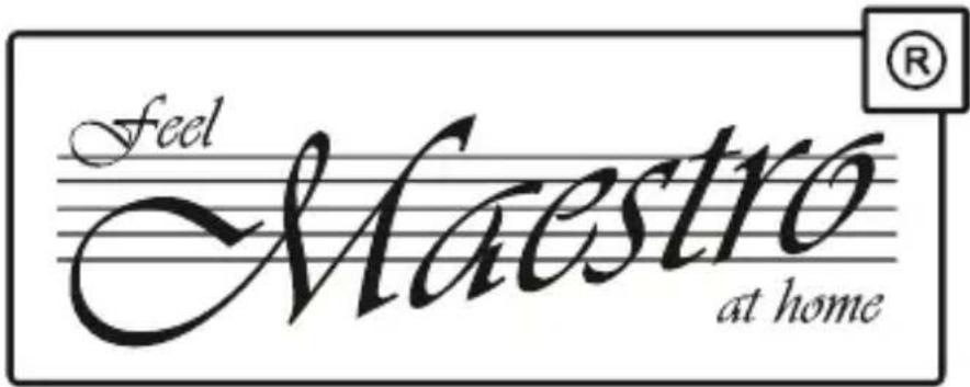 Maestro MR511 - Reciclarea - 1