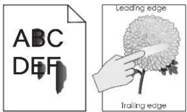 ABC DEF Leading edge Trailing edge