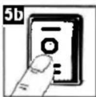 5b