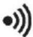 FLIR DM166 - Display Icons and Status Indicators - 13