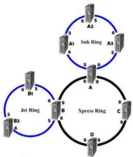 Wago 852-1505 - Dual Ring - 2