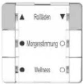 Rolladen Morgenfimmung Wellness