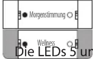 Morgenstimmung Wellness Die LEDs 5 un