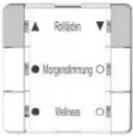 Rolladen ● Margenslimmung ○ ● Wellness ○