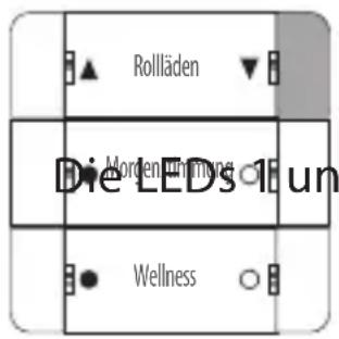 Rollläden Die LEDs um Wellness
