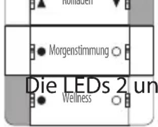 Hollbuch Morgenstimmung Die LEDs 2 un Wellness