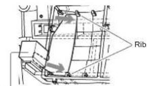 Rib