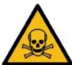 Endress ESE 406 HG-GT ES DUPLEX - Dangerous electrical voltage - 1