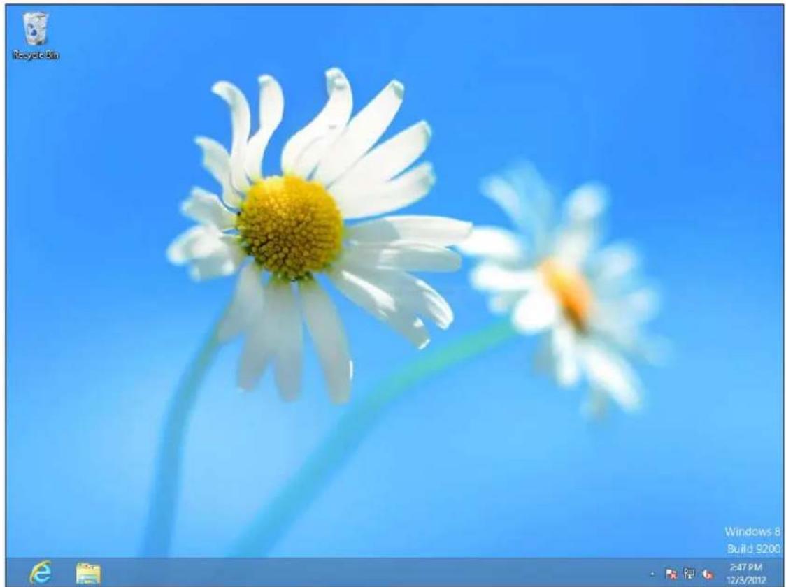 Close-up of white daisies with yellow centers against a blue sky background (no text or symbols)
