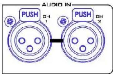 AUDIO IN PUSH CH 1 PUSH CH 2