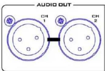 AUDIO OUT CH 1 CH 2