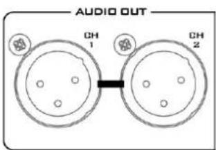AUDIO OUT CH 1 CH 2