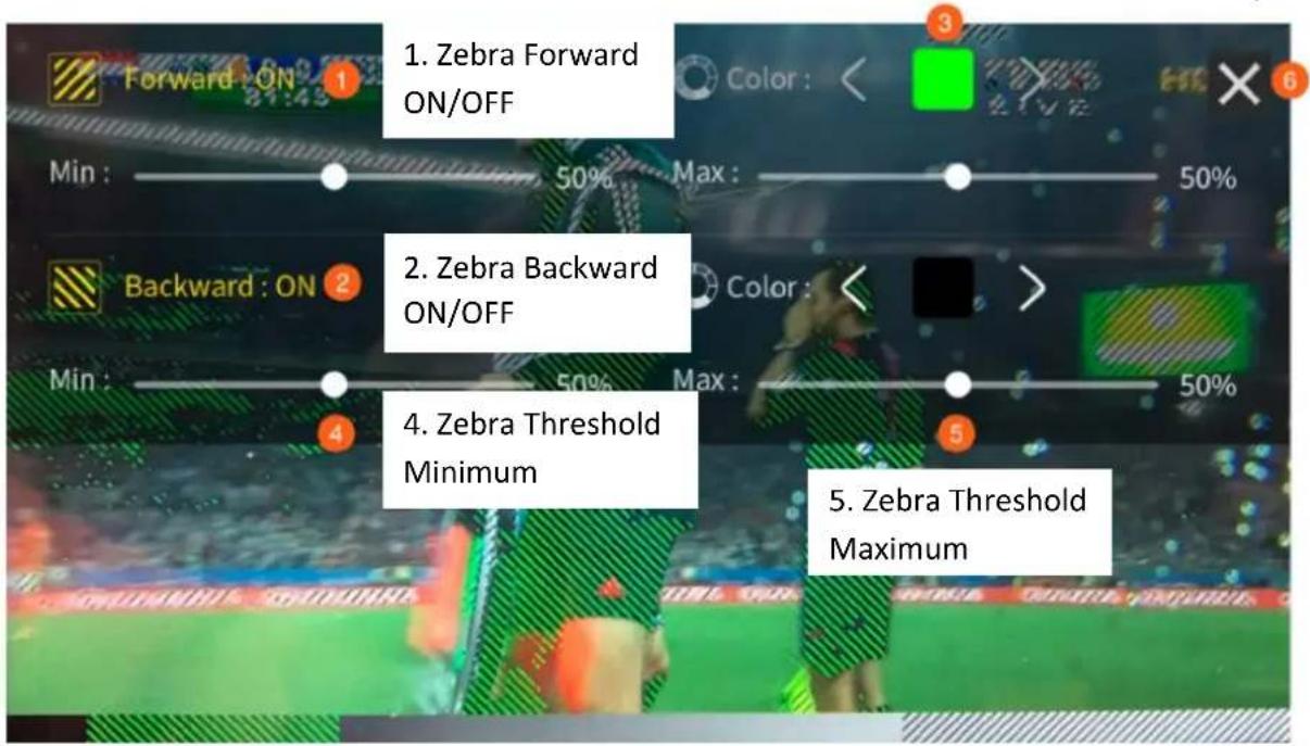DataVideo HDR-90 - Zebra - 1