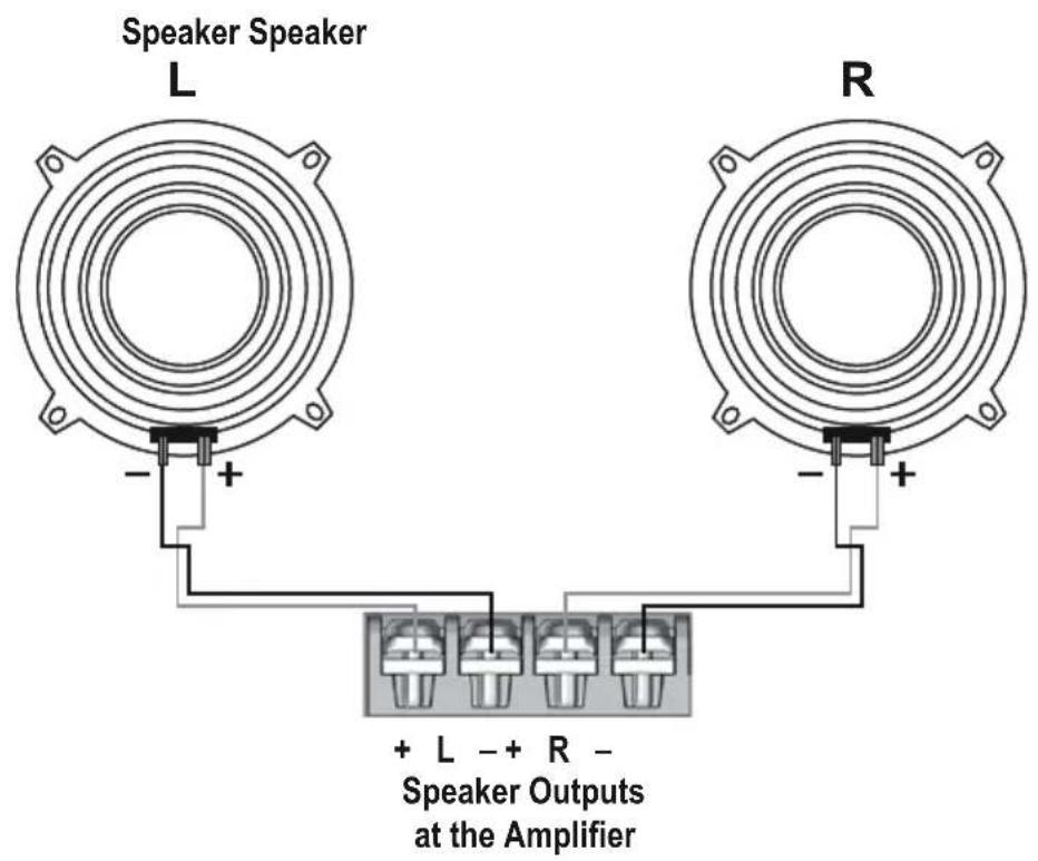 Speaker Speaker L R + - + + + L -- R - Speaker Outputs at the Amplifier