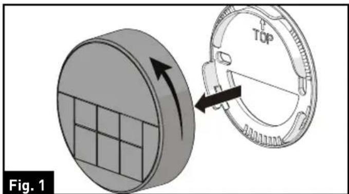 Fig. 1 TOP