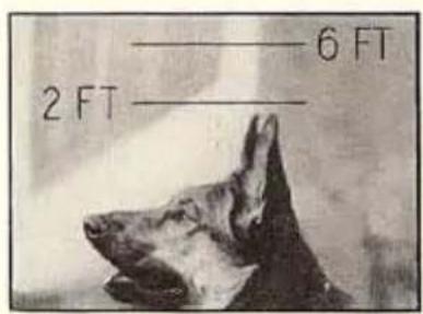 ——— 6 FT 2 FT ——