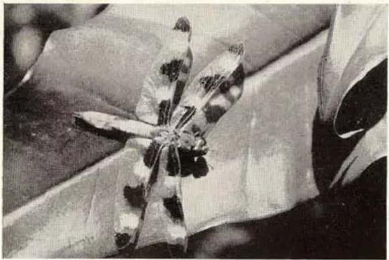 KODAK Cine Special - REFLEX FINDER - 2