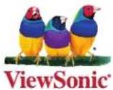 VIEWSONIC PM-FCP - PM-FCP - 1