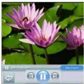 PALM Treo 700p - Streaming Files From a Web Page - 1