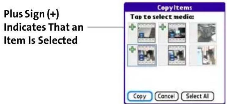 Plus Sign (+) Indicates That an Item Is Selected CopyItems Tap to select media: Copy Cancel Select All