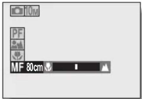 10M PF MF 80cm