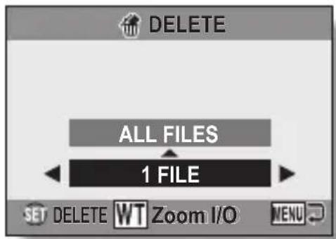 DELETE ALL FILES 1 FILE SET DELETE WT Zoom I/O MENU