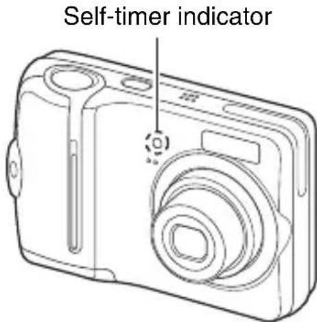 Self-timer indicator