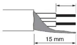 15 mm