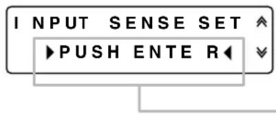 INPUT SENSE SET ► PUSH ENTER ◀