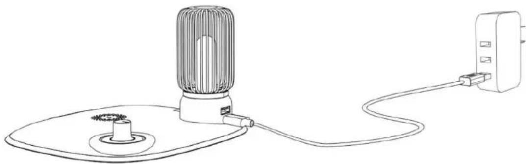 LIVOO TEA290V - PRODUKTBESCHREIBUNG - 3