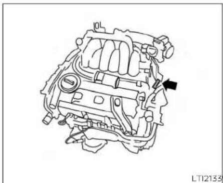 NISSAN Maxima (2023) - VEHICLEIDENTIFICATION - 3