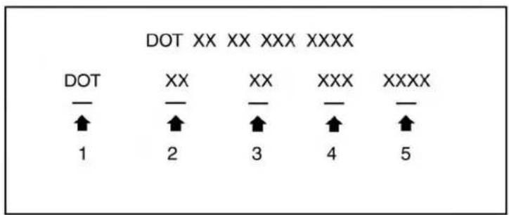 DOT XX XX XXX XXXX DOT XX XX XXX XXXX ↑ ↑ ↑ ↑ ↑ 1 2 3 4 5