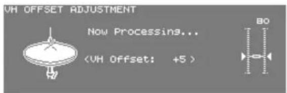 VH OFFSET ADJUSTMENT Now Processing... (VH Offset: +5 )