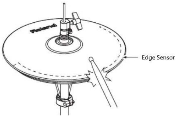 Poland Edge Sensor