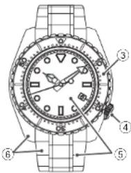 Technical diagram of a wristwatch with numbered parts for identification