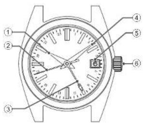 Technical diagram of a wristwatch with numbered parts for identification