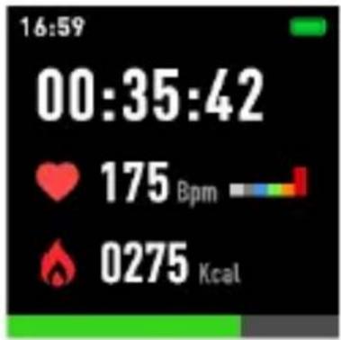 16:59 00:35:42 ♥ 175 Bpm flame 0275 Kcal
